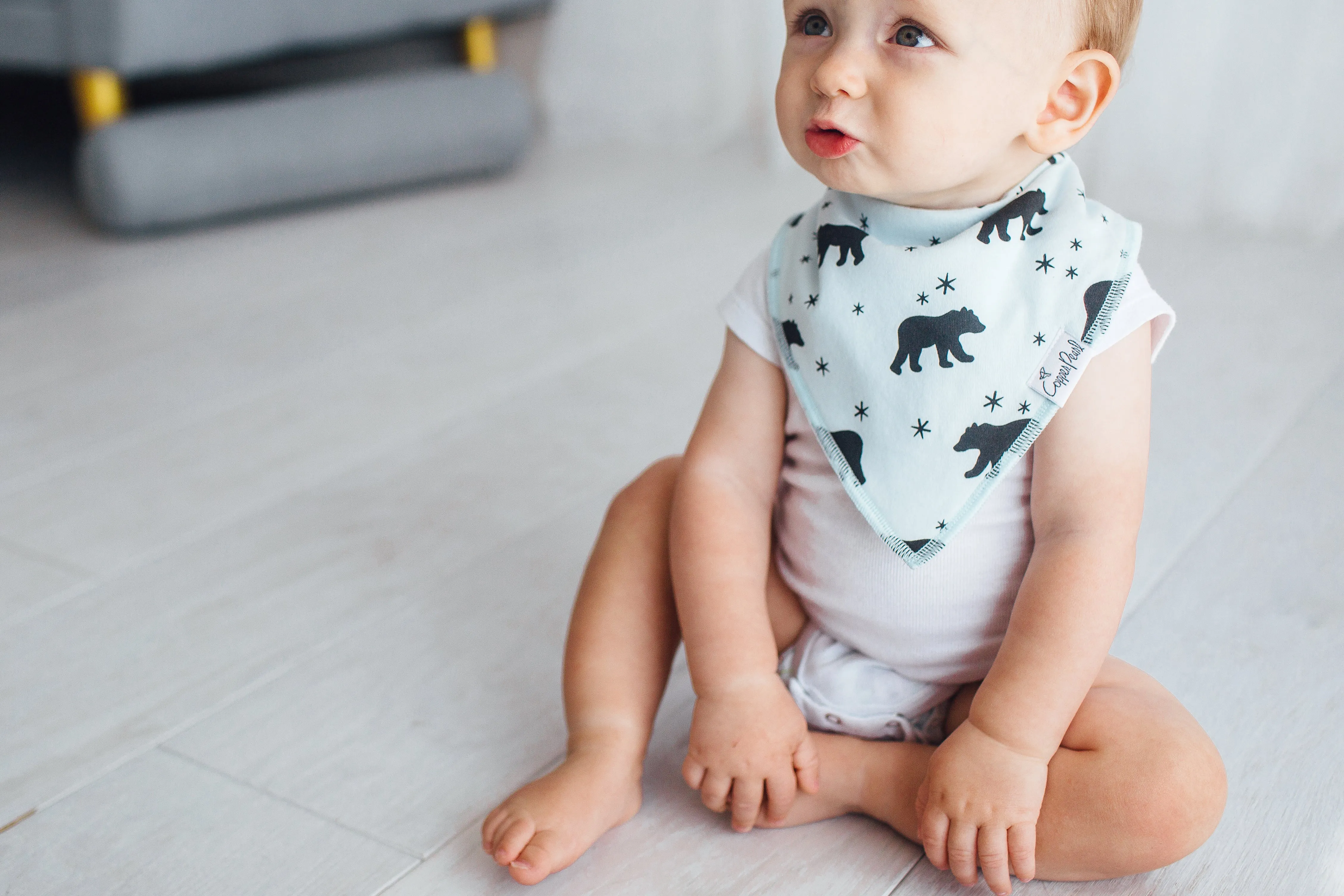 Archer Bandana Bib Set