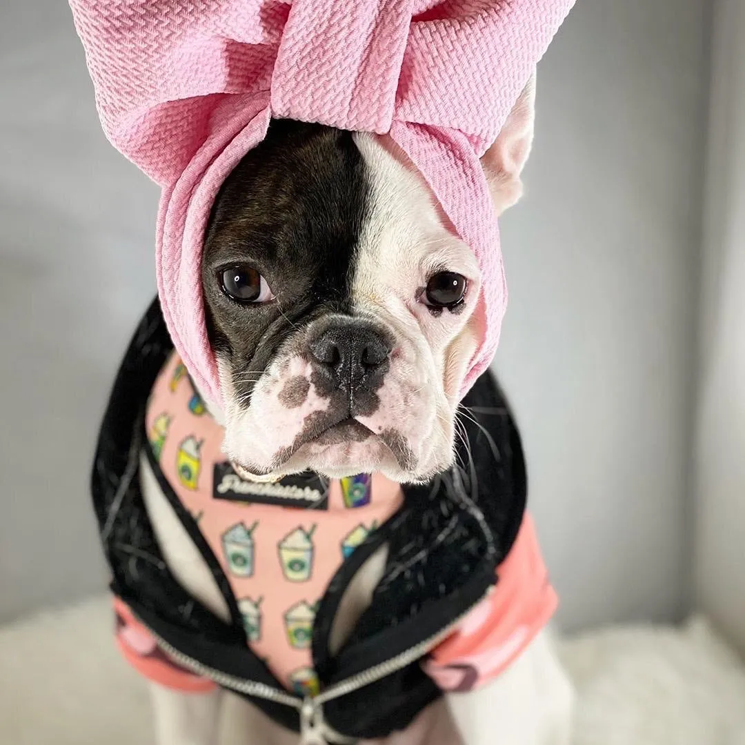 Frenchiestore Pet Head Bow | Pink