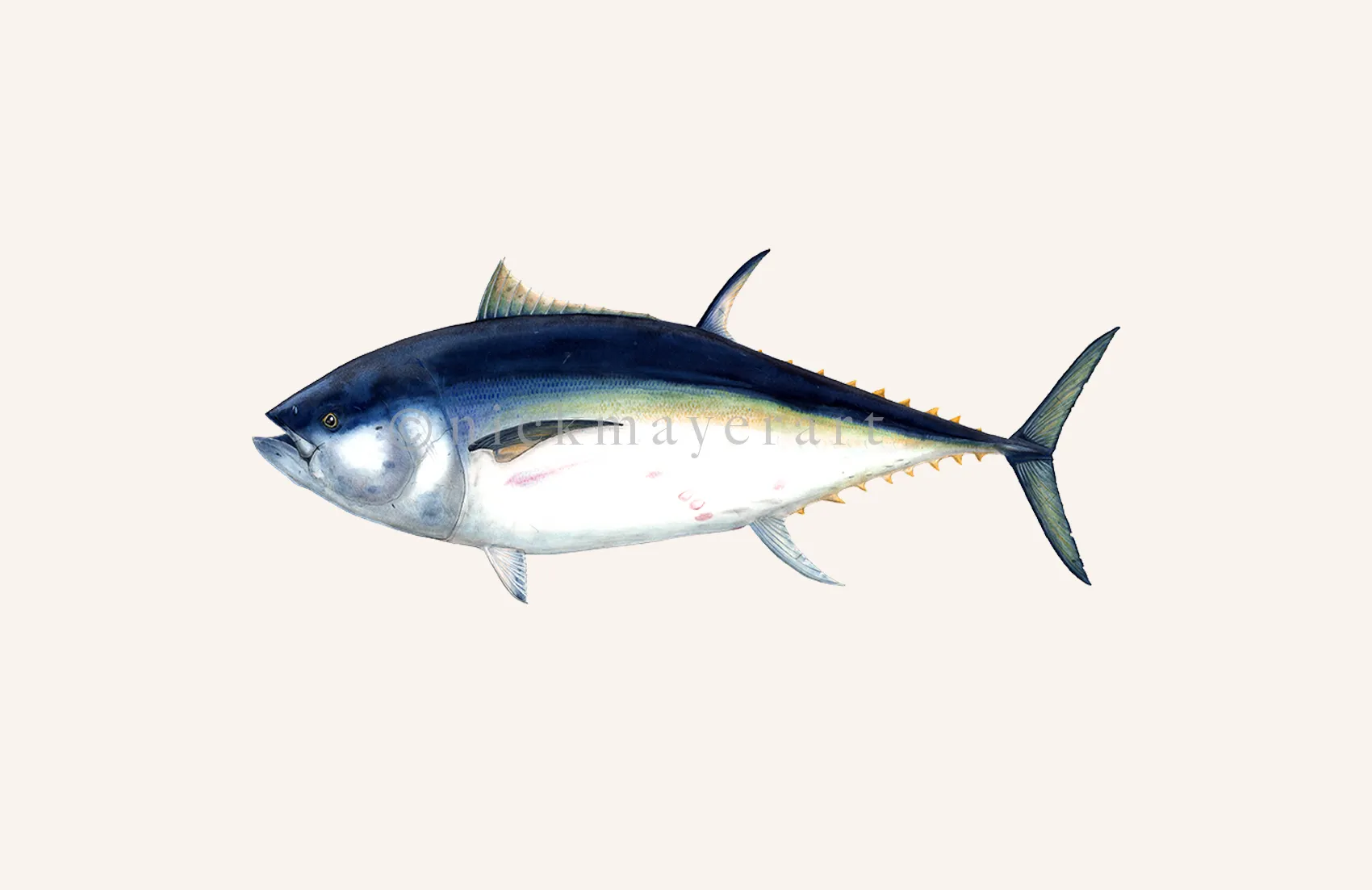 Giant Bluefin Tuna I Print