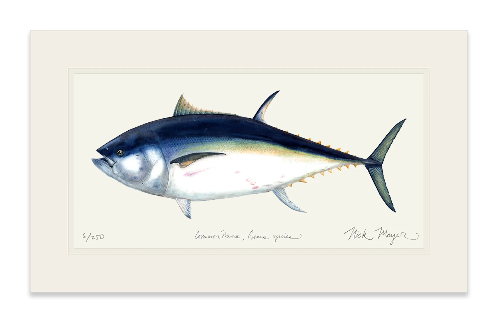 Giant Bluefin Tuna I Print