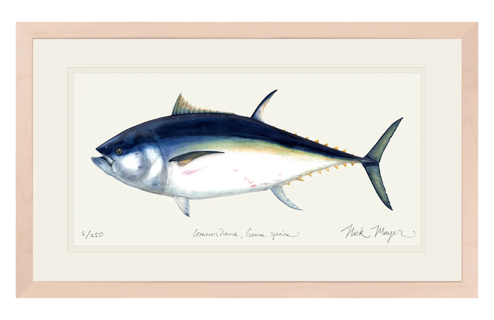 Giant Bluefin Tuna I Print