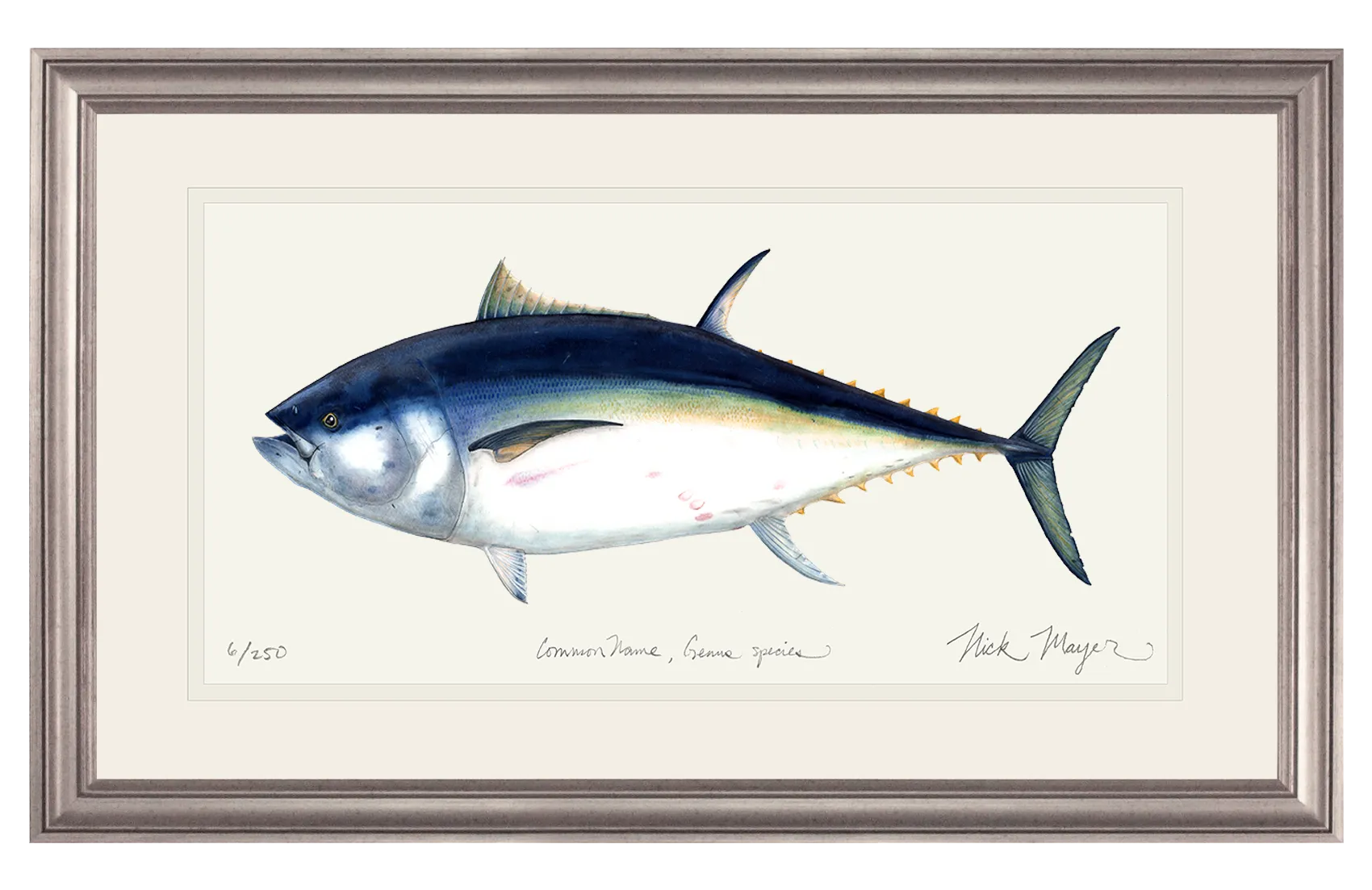 Giant Bluefin Tuna I Print