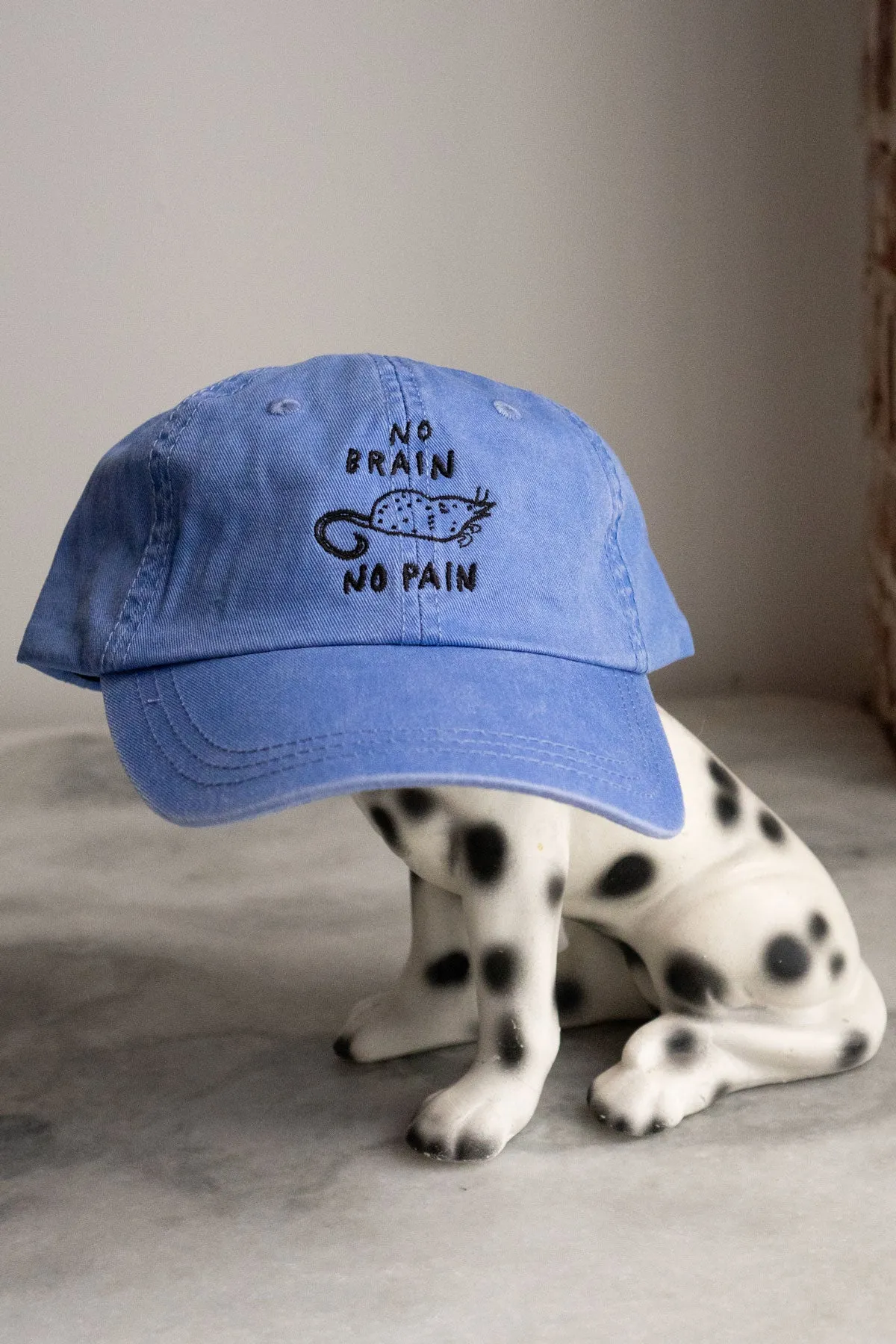 No Brain No Pain Dad Hat