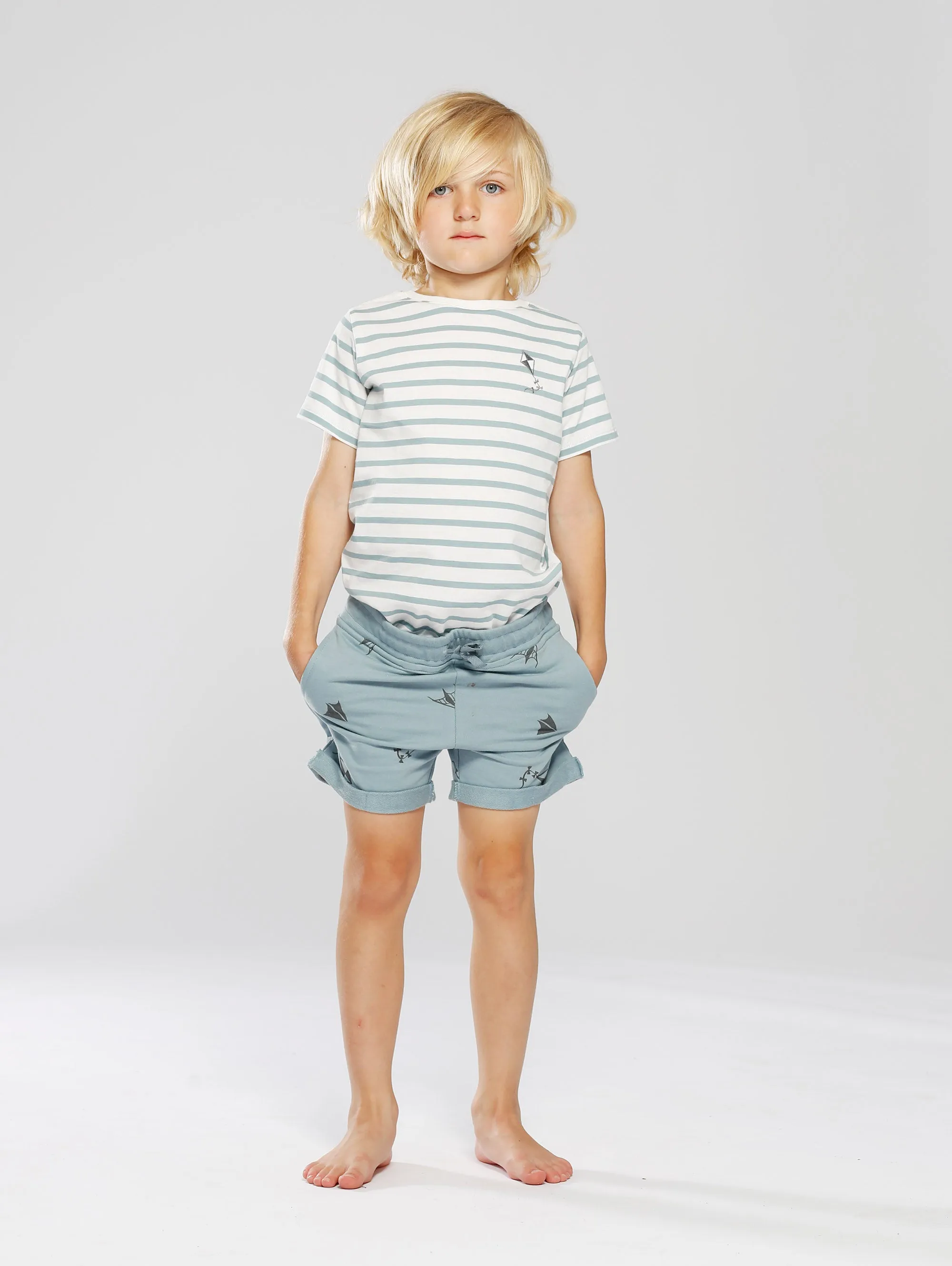 One T-shirt Stripe Kite